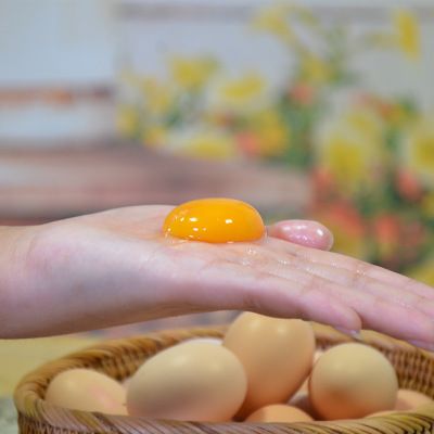 【盒】百年栗园有机40枚鲜鸡蛋aa 级初产柴鸡蛋散养土鸡蛋