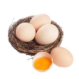 晋龙鲜鸡蛋无抗蛋60枚约2800g4件